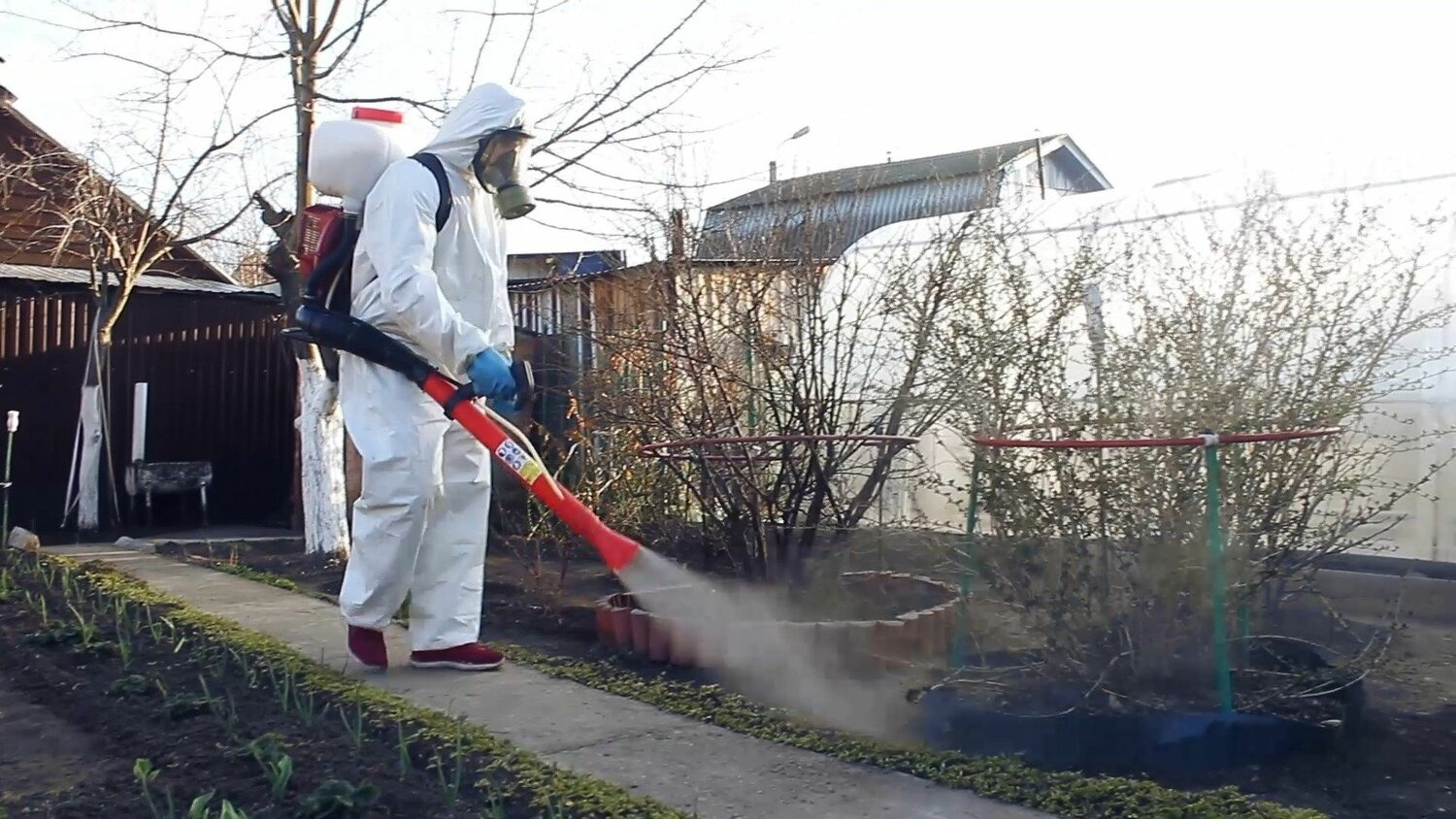 ФОТО Уничтожение муравьёв в районе станции метро Черкизовская