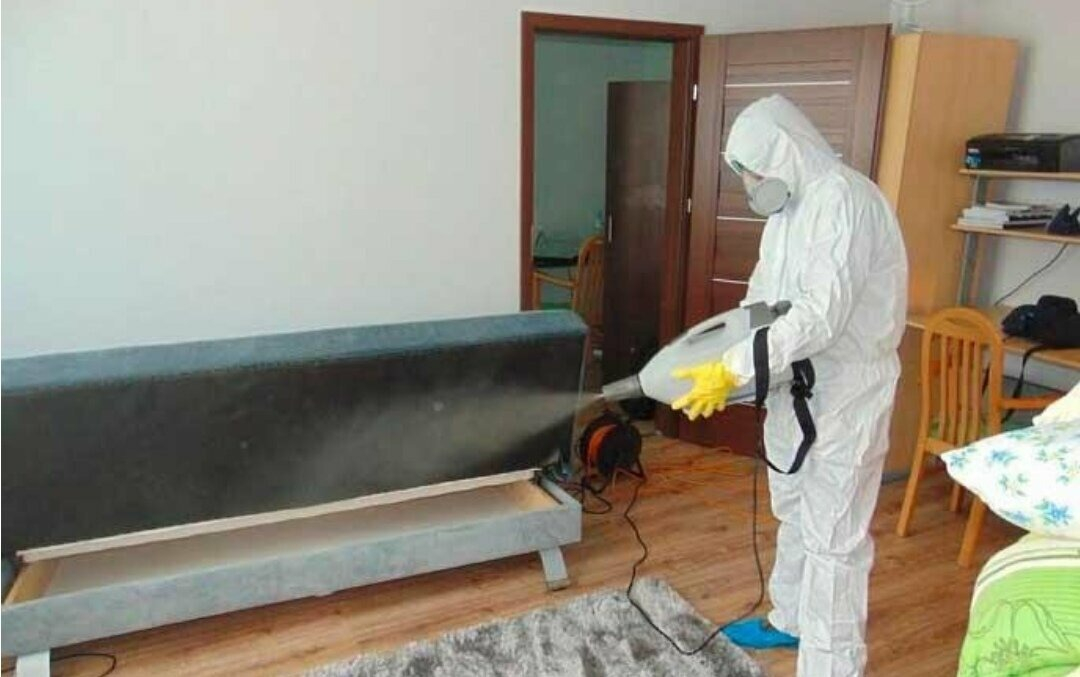 ФОТО Уничтожение блох в районе станции метро Черкизовская