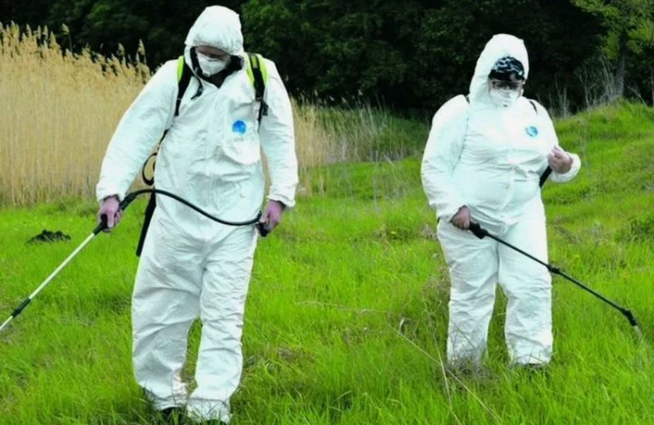 ФОТО Обработка от клещей в районе станции метро Черкизовская