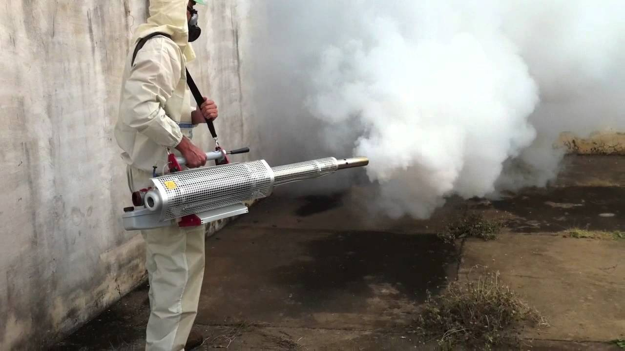 ФОТО Уничтожение мух в районе станции метро Черкизовская