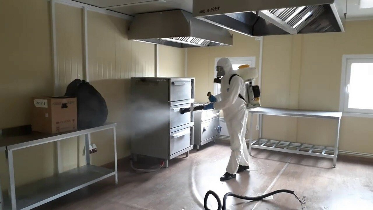 ФОТО Можно ли провести дезинсекцию самостоятельно и какие существуют риски в районе станции метро Черкизовская? | подробно