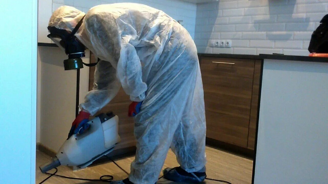 ФОТО Как подготовить домашних животных к обработке от насекомых в районе станции метро Черкизовская? | подробно