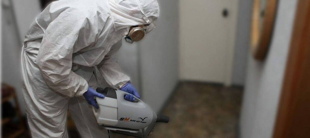 ФОТО Остаются ли следы после обработки квартиры от насекомых в районе станции метро Черкизовская? | подробно