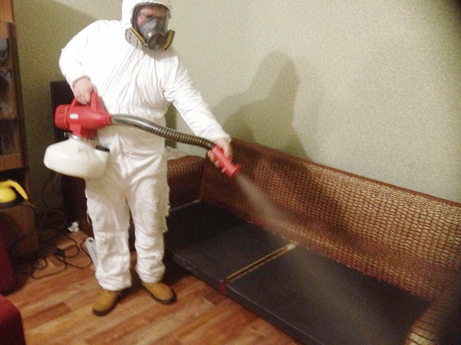 ФОТО Когда можно вернуться в помещение после дезинсекции в районе станции метро Черкизовская? | подробно