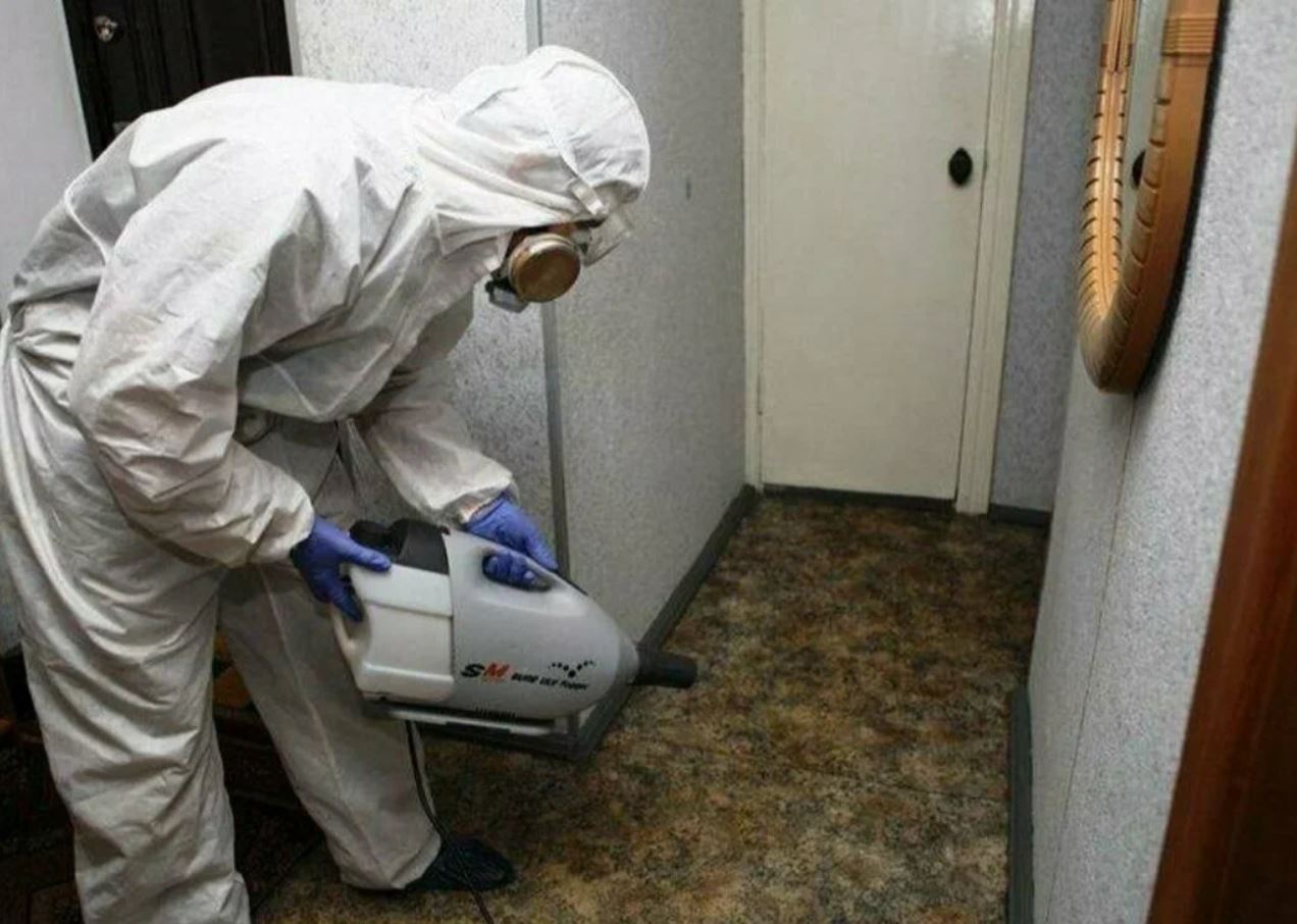 фото: Профессиональная дезинсекция в районе станции метро Черкизовская: <br/>+7-909-173-42-96