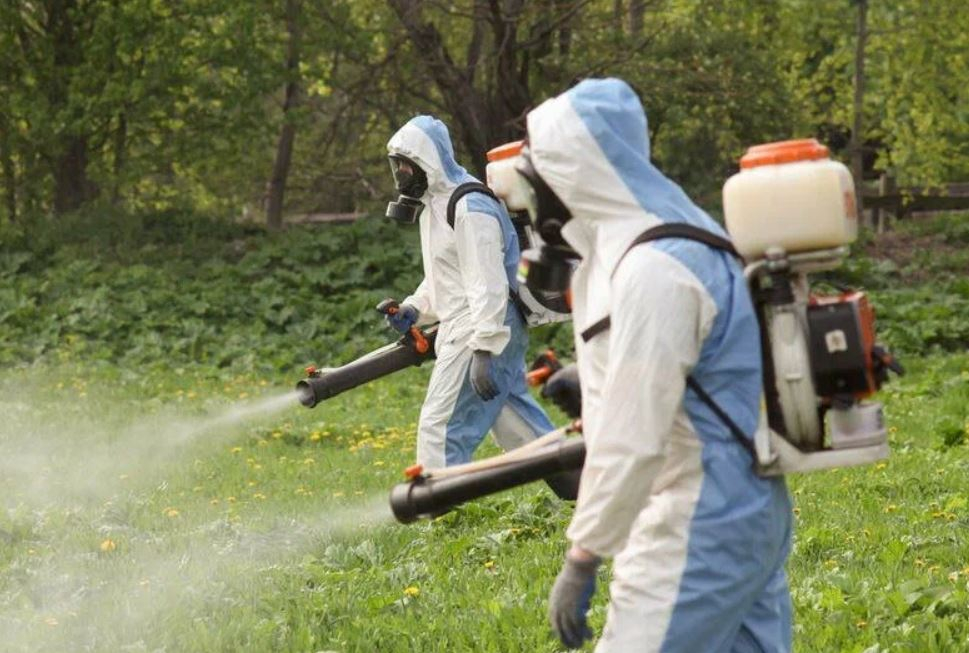 фото: Профессиональное уничтожение мух в районе станции метро Черкизовская: <br/>+7-909-173-42-96